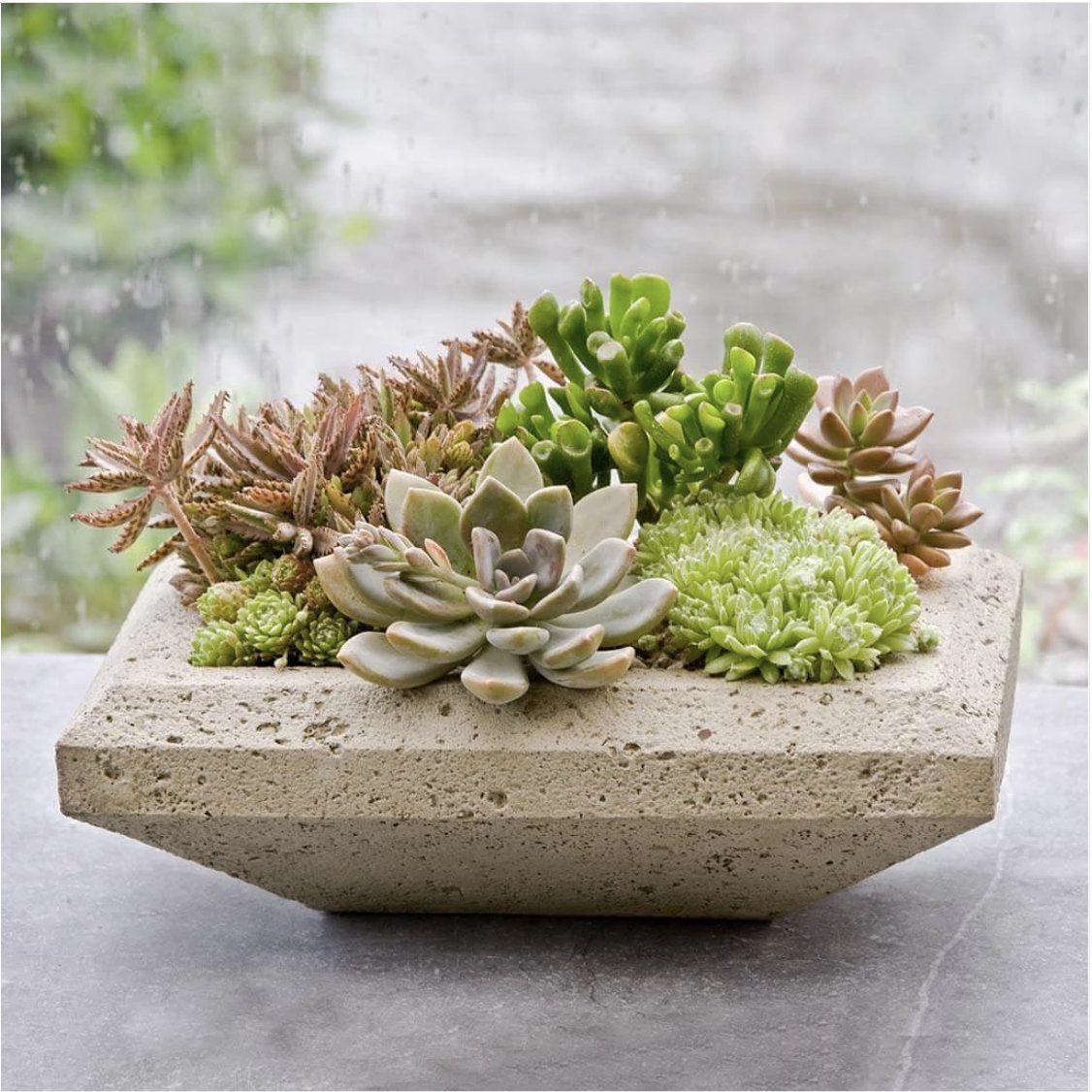 Small tabletop planter deals