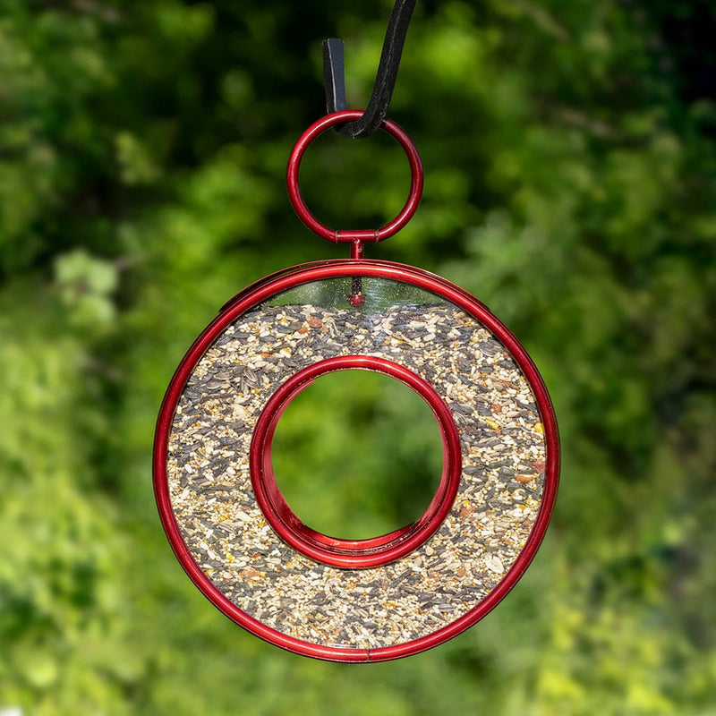 Good Directions Just In Time Fly-Thru Ruby Red Bird Feeder