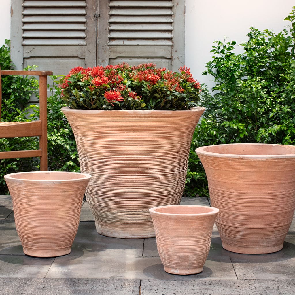 Lapo Terra Cotta Planter