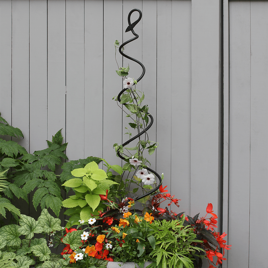 plant metal trellis Achla Designs Spiral Trellis