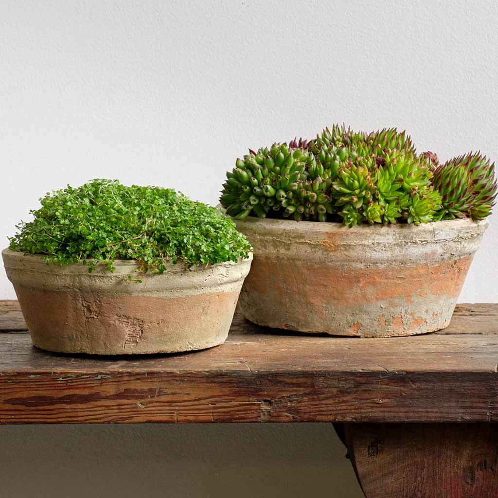 short pots for plants Campania International | Farmer’s Short Pot Set