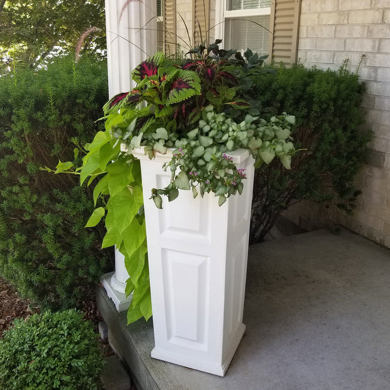 The Mayne Nantucket Tall Planter, in the white finish, planted and placed near home for curb appeal.