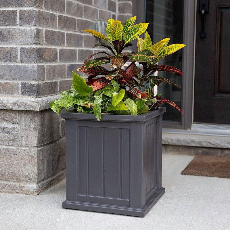 The Mayne Cape Cod 16x16 Square Planter, in the graphite finish,planted and placed near home for curb appeal.