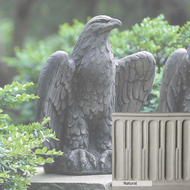 Natural Patina for the Campania International Eagle Looking Left Statue is unstained cast stone the brightest and whitest that ages over time.