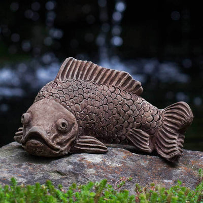 Campania International Large Koi Statue, set in the garden to add charm and character. The statue is shown in the Brownstone Patina.