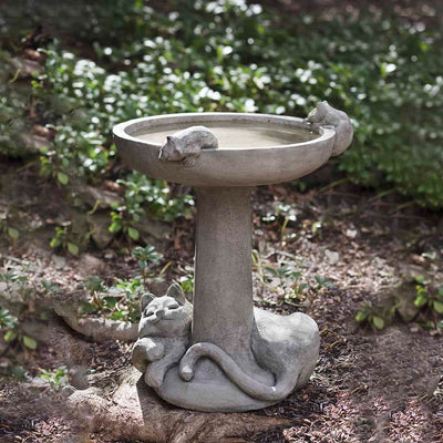 Campania International Catnap Birdbath, set in the garden to adding charm and purpose. The birdbath is shown in the Alpine Stone Patina