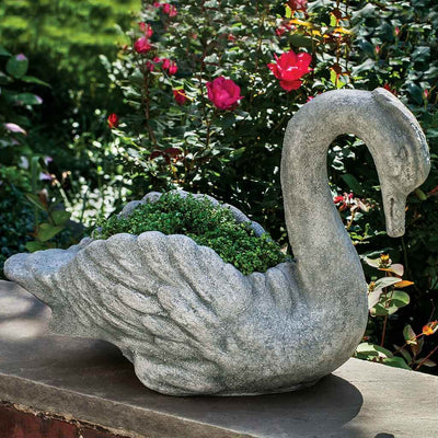 Campania International Newport Swan is shown in the Alpine Stone Patina. Made from cast stone.