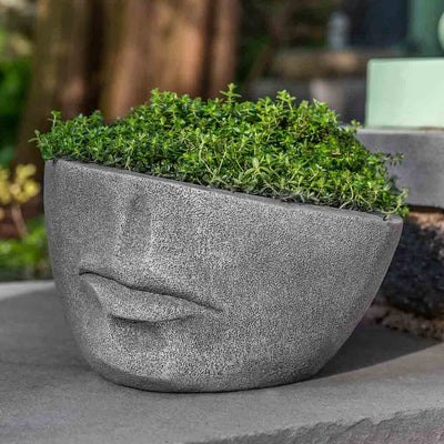 Campania International Faccia Extra Small Planter is patio perfection planted with soft foliage and shown in the Greystone Patina. Made from cast stone.
