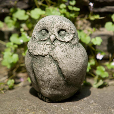 Campania International Baby Barn Owl Statue , set in the garden to add charm and character. The statue is shown in the Alpine Stone Patina.