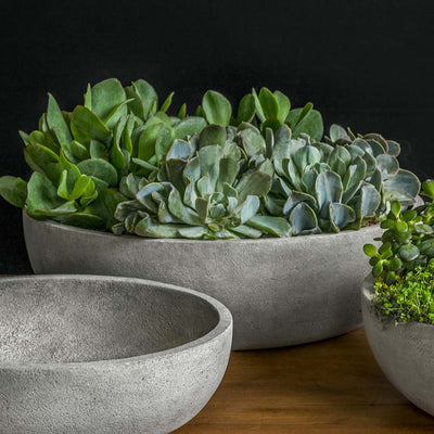 Campania International Terrace Large Bowl is tabletop perfection planted with succulents and shown in the Alpine Stone Patina. Made from cast stone.