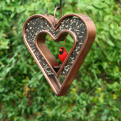 The Cardinal, the Heart of the Garden