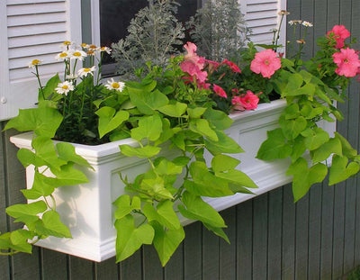 How Self-watering Planters Work