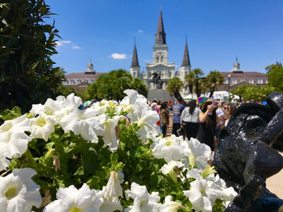 [ French Quarter Festival] Who Said Nothing is Free Anymore!