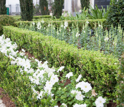 Outdoor Projects: Planning for Spring