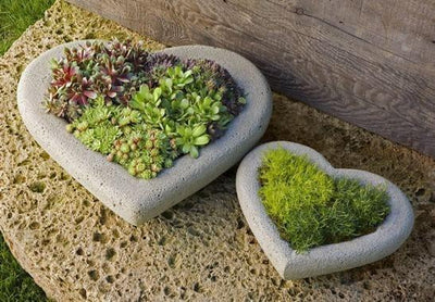 5 Types of Small Garden Planters