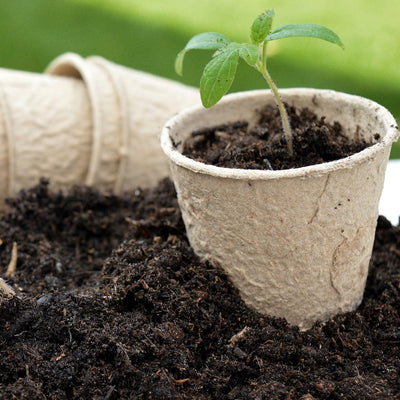 All the Mess About Potting Soil