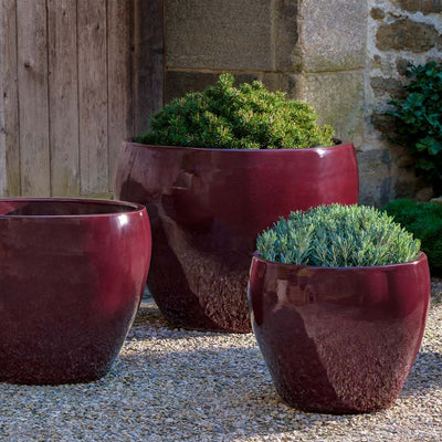 Campania International Cabachon Planter in Plum set of 3