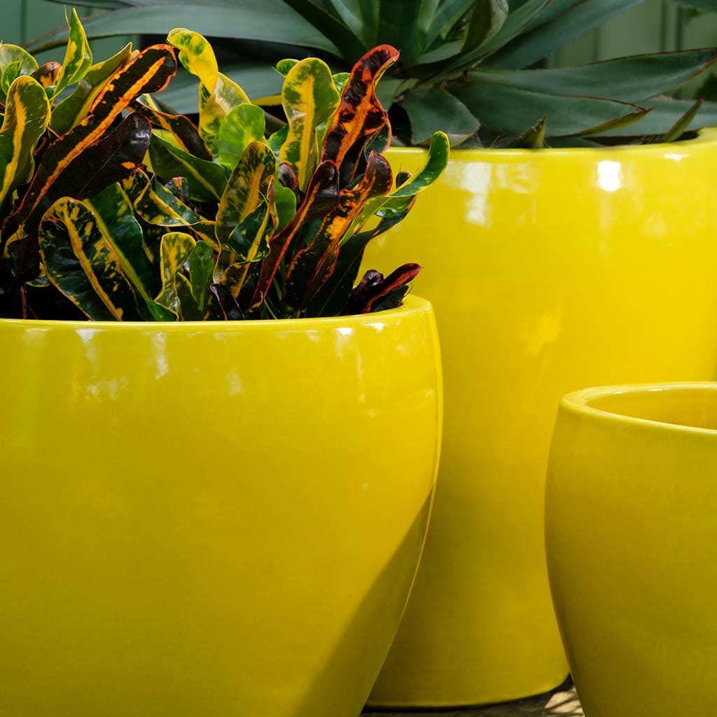 large yellow pots for plants Campania Cabachon Planter
