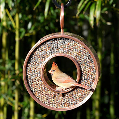Good Directions Just in Time Fly-Thru Copper Bird Feeder with Mesh Panels