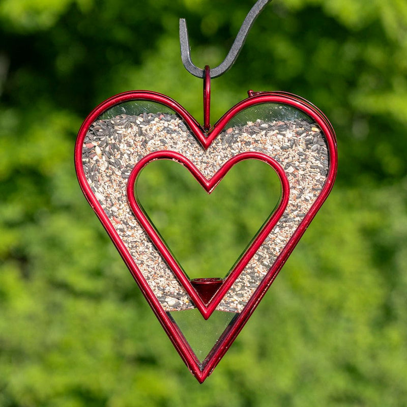 Good Directions Be Still My Heart Fly Thru Heart-Shaped Ruby Red Bird Feeder