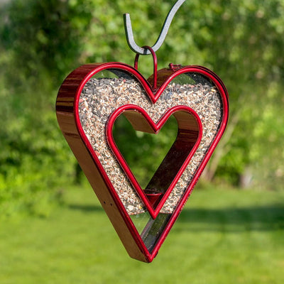 Good Directions Be Still My Heart Fly Thru Heart-Shaped Ruby Red Bird Feeder