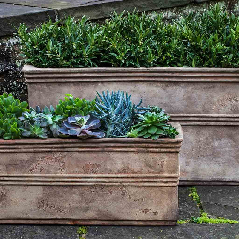 Campania International Antico Rectangular Planter in Antico Terra Cotta set of 2