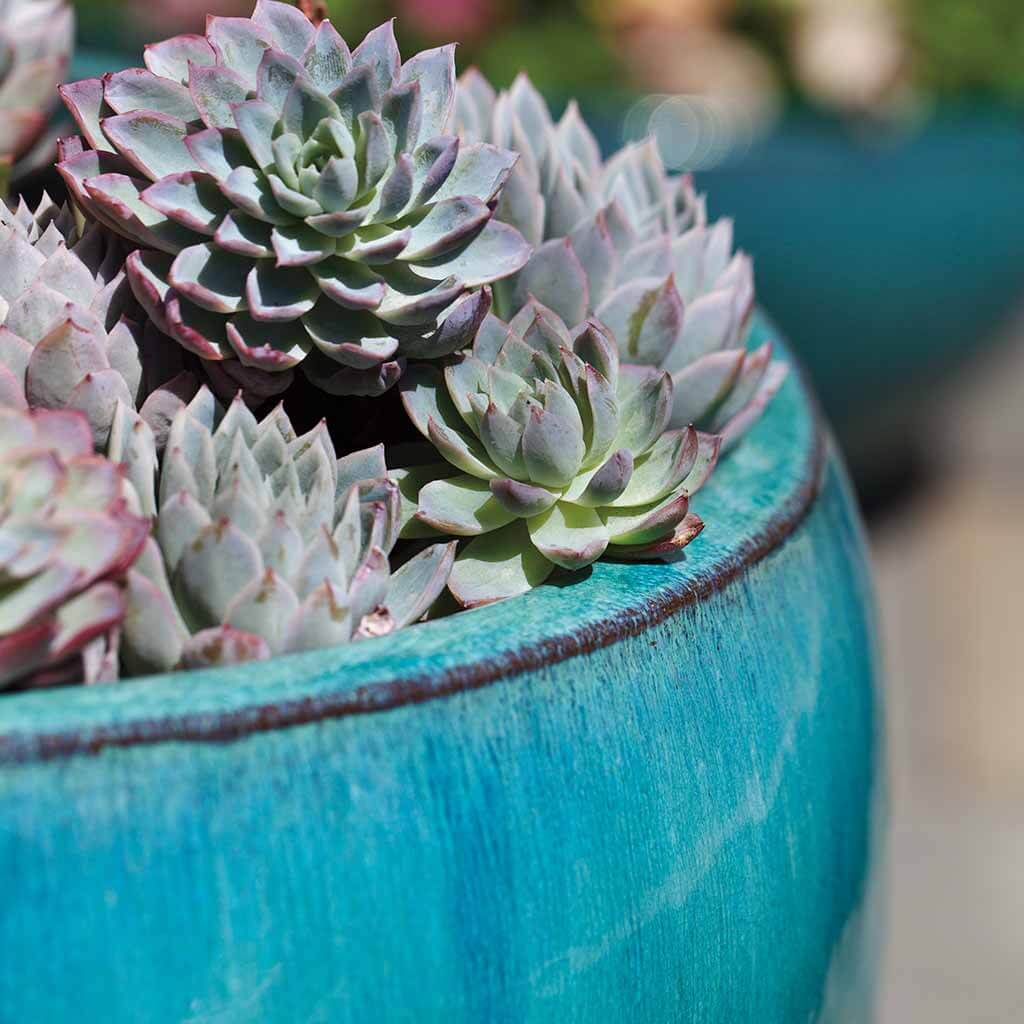 aqua blue plant pot Campania International Ellesmere Planter Set of 3