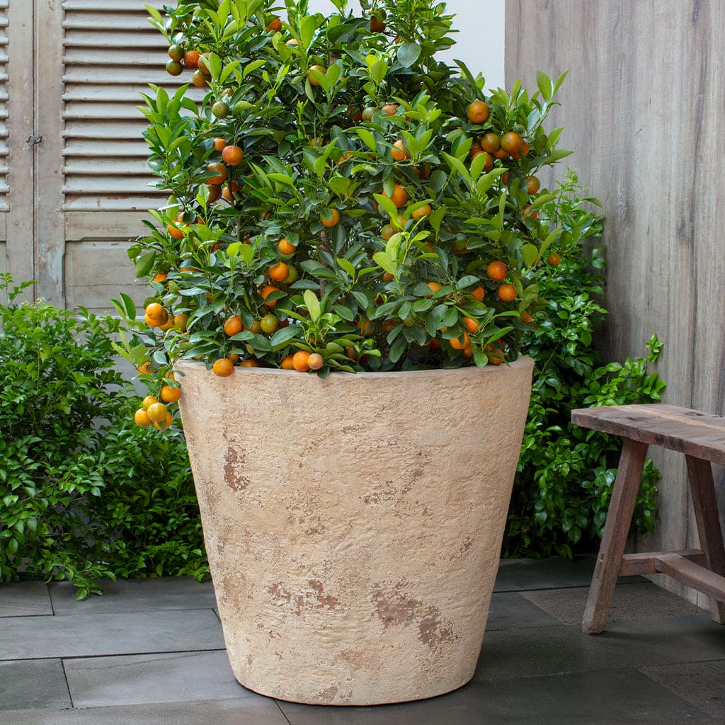 24 pot planter Campania International Catena Planter