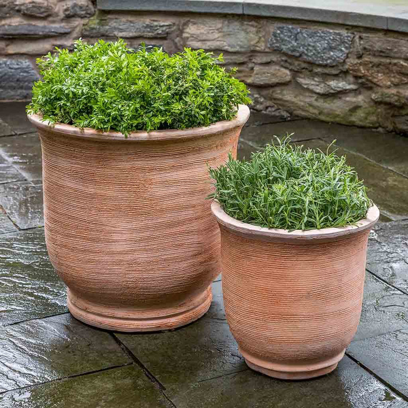 Campania International Sami Urn in Terra Cotta set of 2