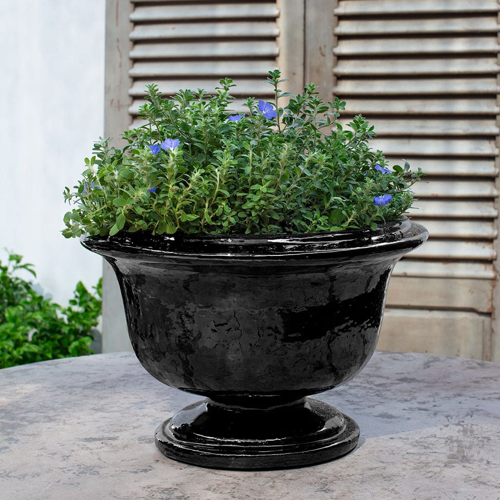 Campania International Margaux Urn