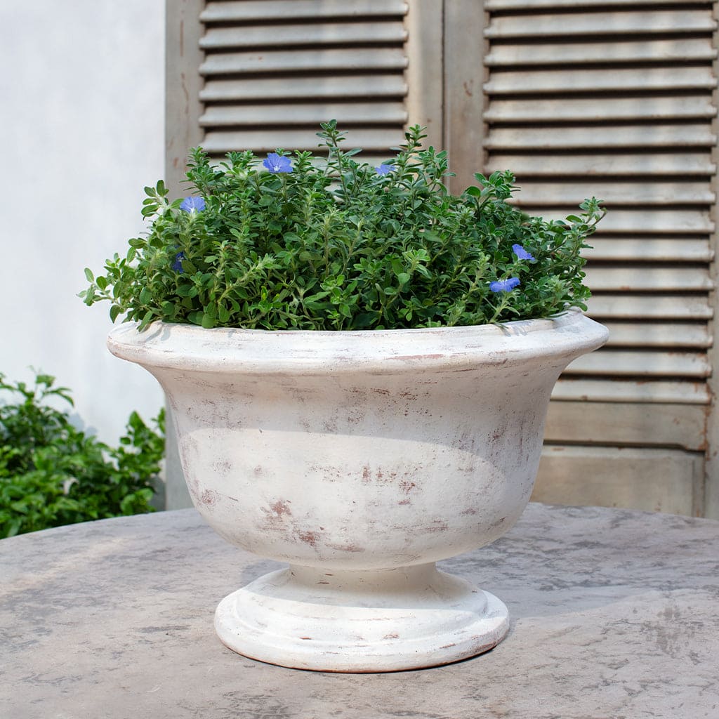 Campania International Margaux Urn - Thumbnail 2