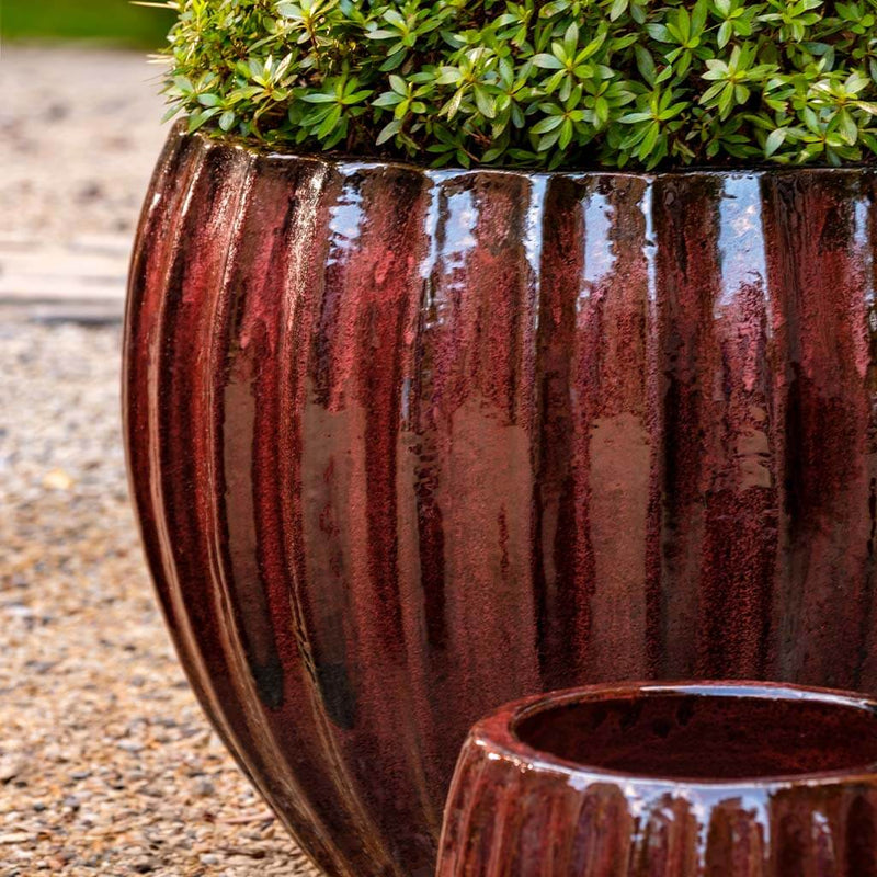 Campania International Cabernet Planter in Bordeaux set of 3