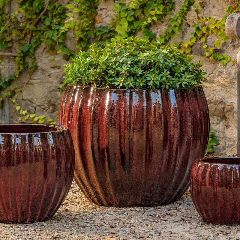 Campania International Cabernet Planter in Bordeaux set of 3