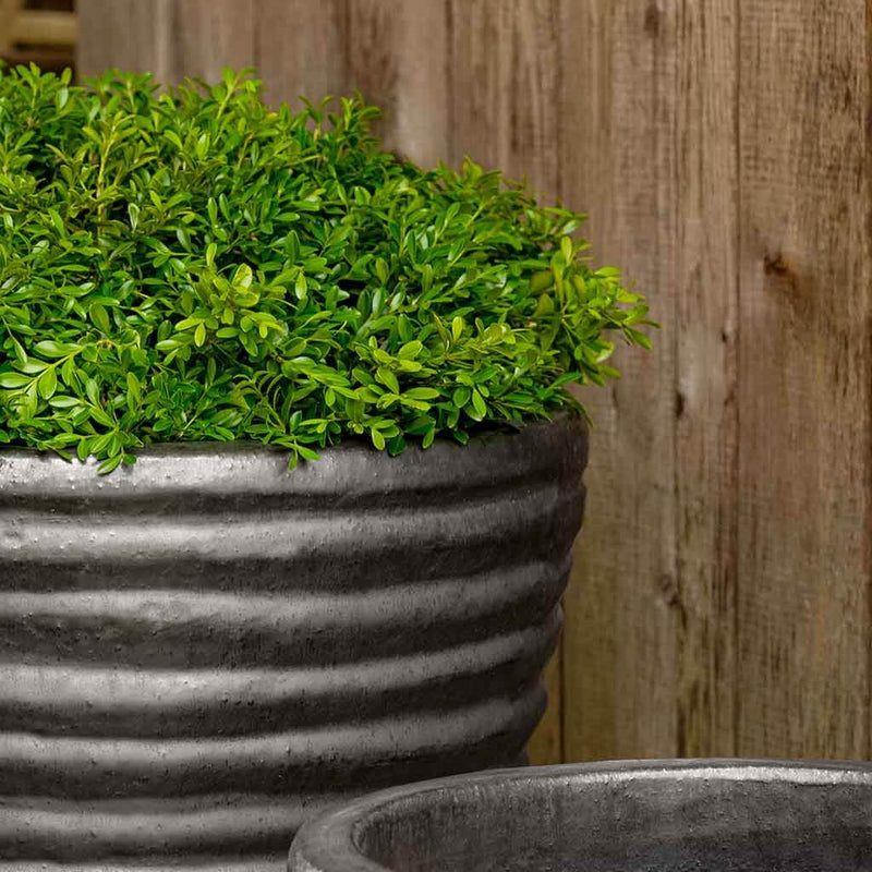 Campania International Round Ruffle Planter in Graphite set of 3