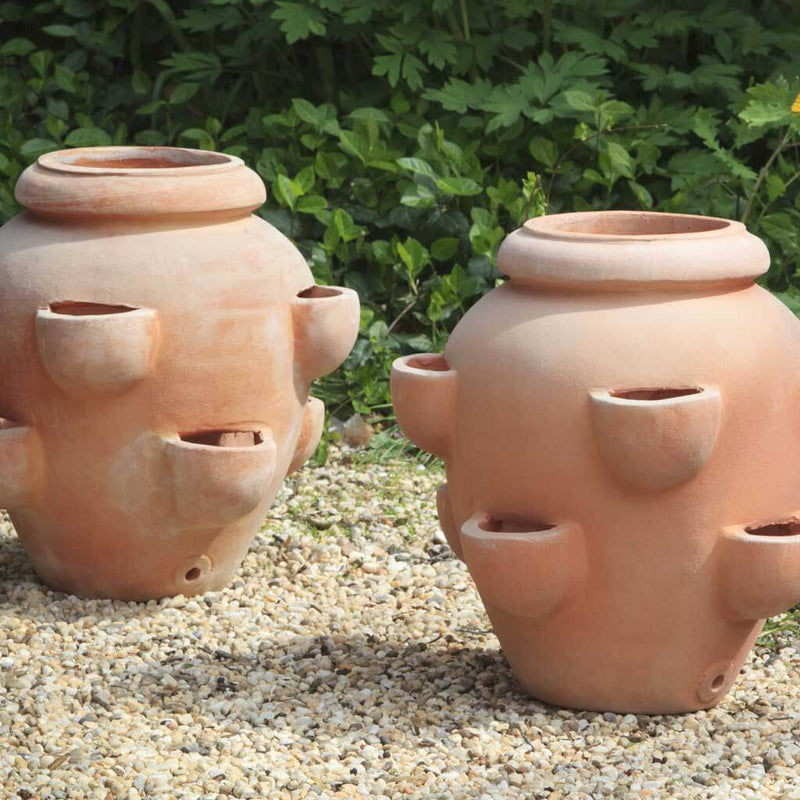 Campania International Tascandi Strawberry Jar in Terra Cotta set of 2