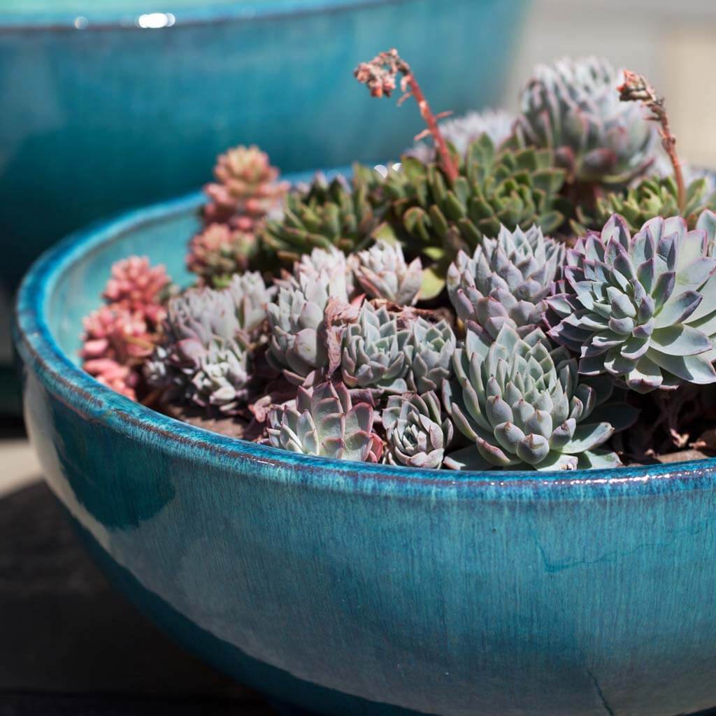 Campania International Yuma Bowl in Aqua set of 3 | The Garden Gates