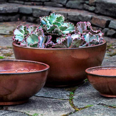 Campania International Yuma Bowl in Maple Red set of 3