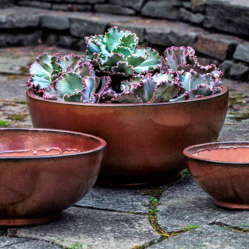 Campania International Yuma Bowl in Maple Red set of 3