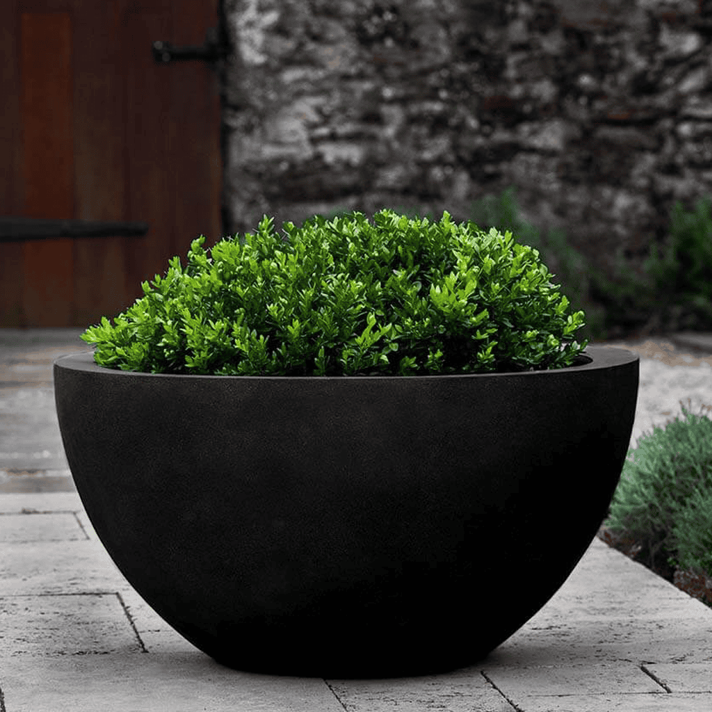 Campania International Fiberglass Piccadilly Planter Onyx Black Lite / Large