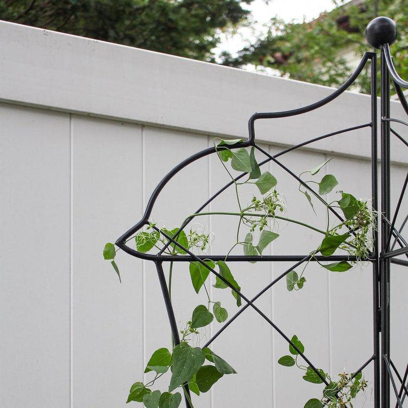 Chess Queen Trellis by Achla Designs