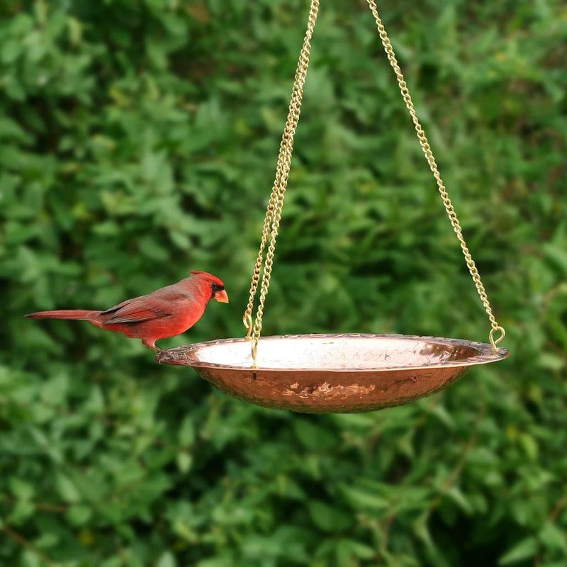 Good Directions 13 inch Hanging Pure Copper Bird Bath