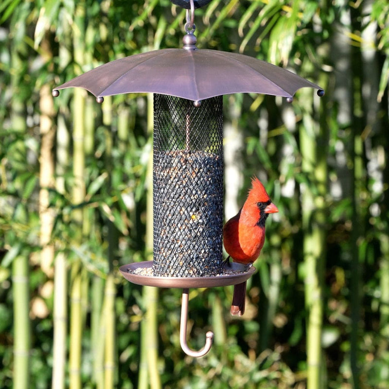 Good Directions Rainy Day Umbrella-Inspired Bird Feeder with Mesh Tube