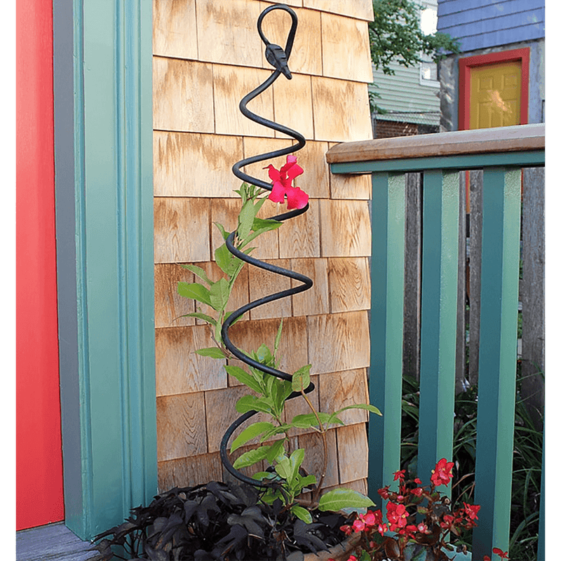 Spiral Trellis by Achla Designs