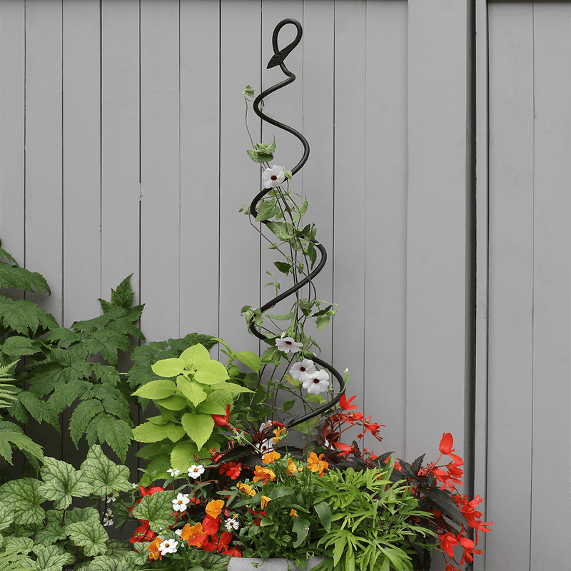 Spiral Trellis by Achla Designs