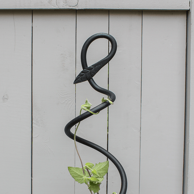 Spiral Trellis by Achla Designs