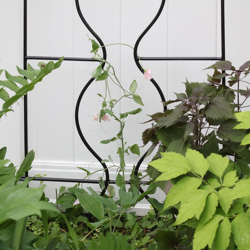 Orangery Trellis by Achla Designs