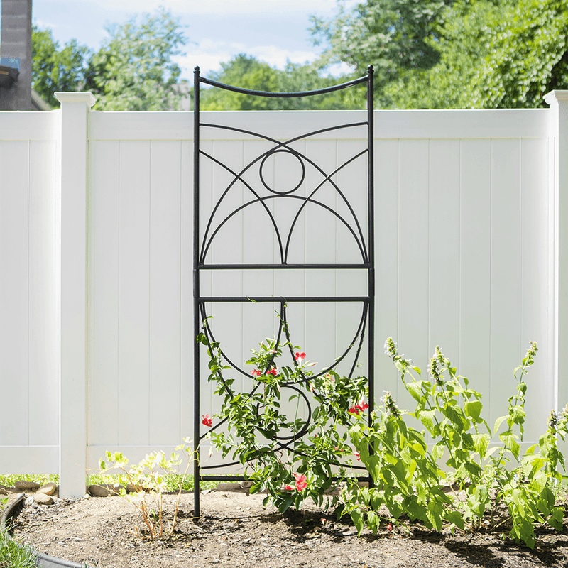 Aurora Trellis by Achla Designs