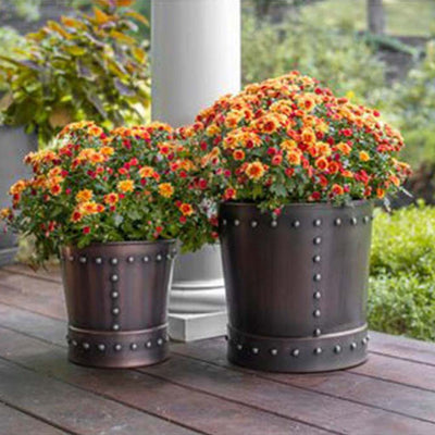 Good Directions Unique Medium Riveted Bronze Planter Set of 2