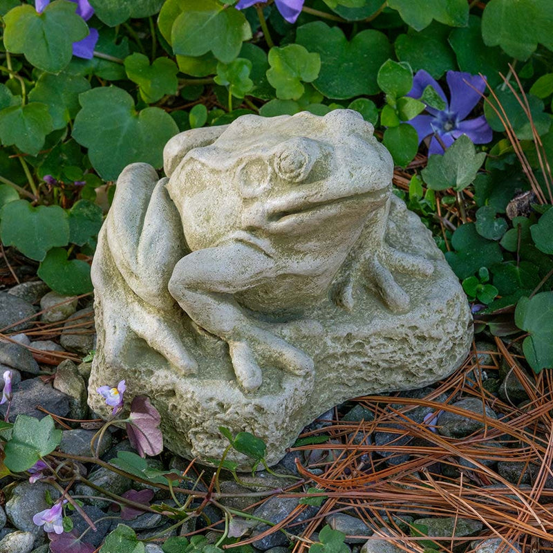Campania International Forest Frog stained in the English Moss patina, the ideal color for this garden statue.