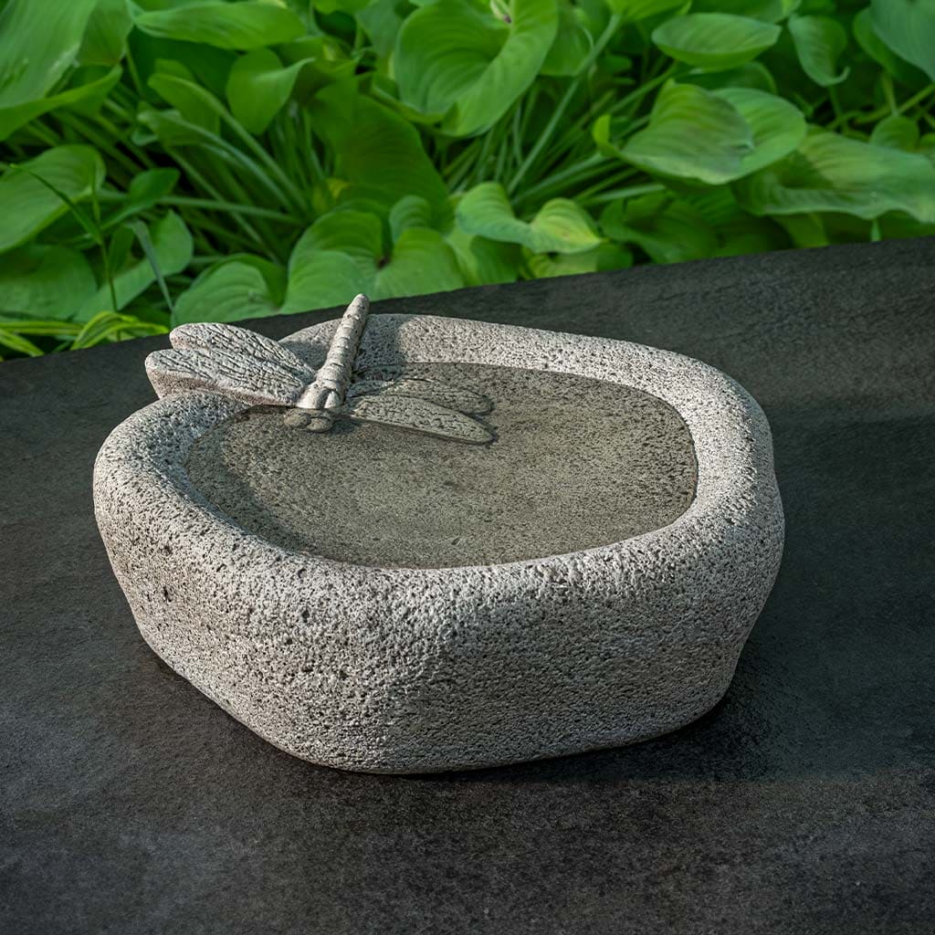 Campania International Dragonfly Birdbath